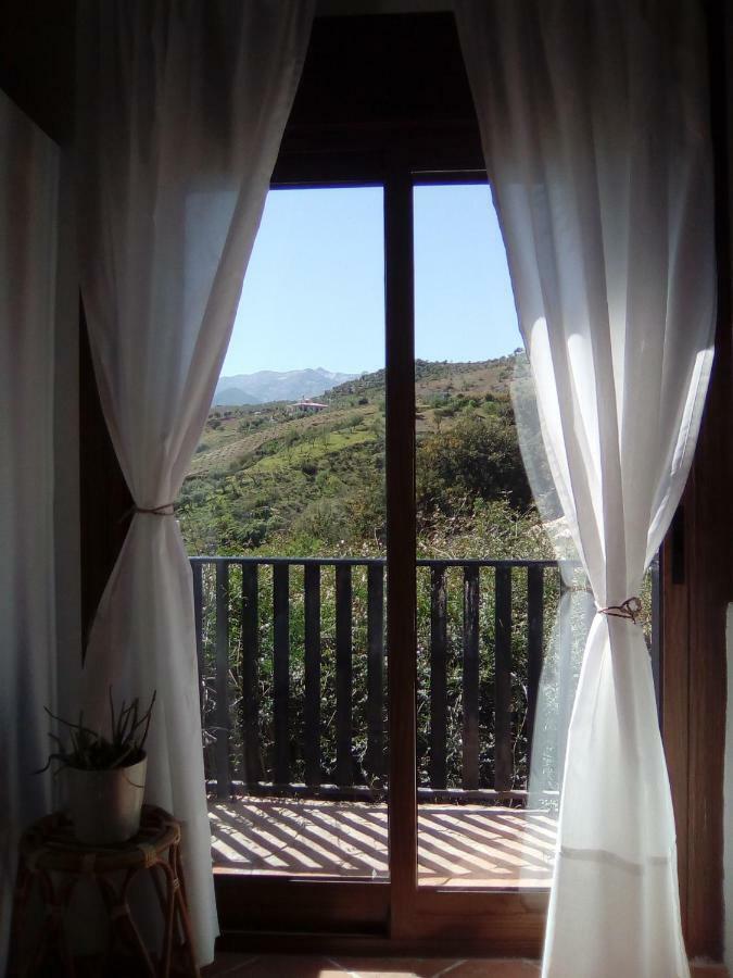トロクス The African House Bed & Breakfast エクステリア 写真